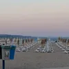 idisen157