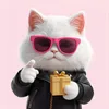 pawsandpayless