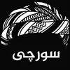 anas.frsat3