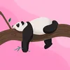 maysa.benites4