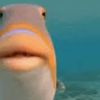 funniefish
