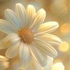 menekse_2563