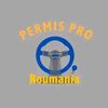 permis de conducere românesc