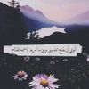 akeed1251