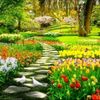 alfiyanor_838