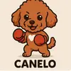 canelothetoypoodle