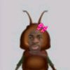 mr_roach0