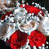 javed.iqbal7614