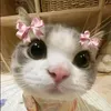 ur_nicole957