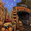 pumpkinspice_christmas