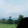 lojeng58