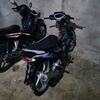 dikk29365