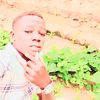 user35042446190242