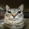 im_jasper_too