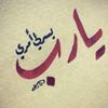 ahmed.ahmed6598