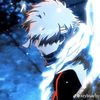 li_stecu04