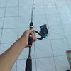 fadholpandol