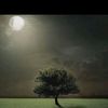 tempat_berteduh51