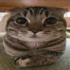 justalfiezs