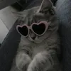ranea.saed3
