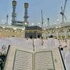 deenitaleem8