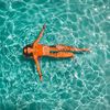 Tipsswim
