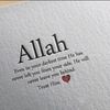 haidermughalmug86