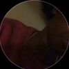 ykitskaii_2