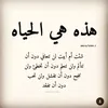 user8478411751595