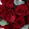 filiz4334