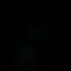 hus_bar81