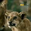 mjtbamjtba65