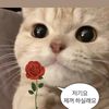 user7568009845050