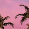 pink11154