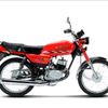 el.de.la.suzuki.a0