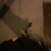 jordan.m0147