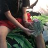 rackzj