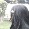 b4tterfly.070