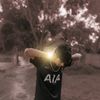md.toukir013305
