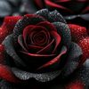christian.eduardo8115