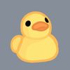duck_duck1234