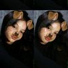 debeeeaa