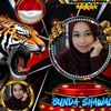 roidahida13