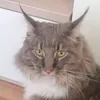 marat_vlog.14
