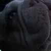 kadie1225