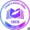 12c5-TTGDTX