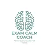 Exam Calm Buddy • For Teens