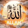 abduly.omaly