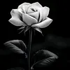 mhn.hj2