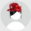 hayle_41